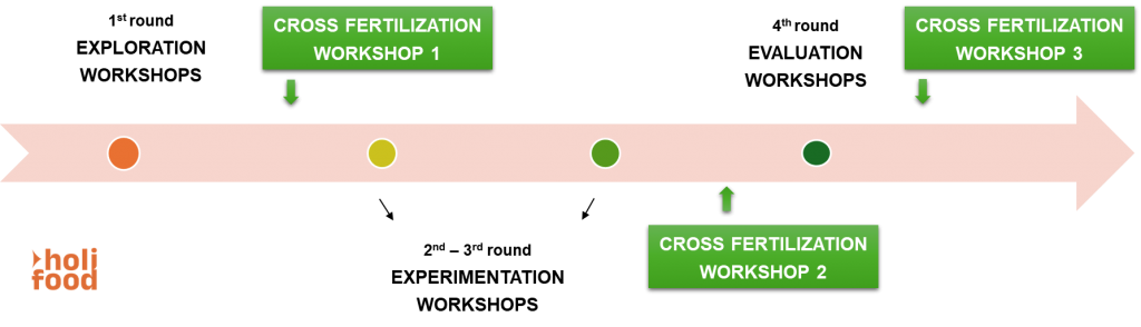 HOLIFOOD: insights from 1st cross-fertilization workshop